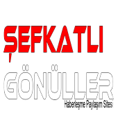 ruyapanel.com